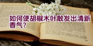 如何使胡椒木叶散发出清新香气？