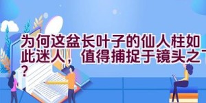 为何这盆长叶子的仙人柱如此迷人，值得捕捉于镜头之下？