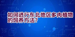 如何进行东北地区多肉植物的饲养方法？