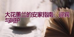 大花蕙兰的安家指南：迎宾与呵护