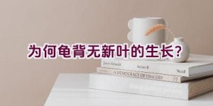 为何龟背无新叶的生长？