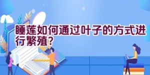 睡莲如何通过叶子的方式进行繁殖？