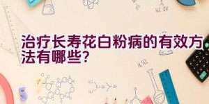 治疗长寿花白粉病的有效方法有哪些？