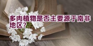 多肉植物是否主要源于南非地区？