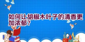 如何让胡椒木叶子的清香更加浓郁？