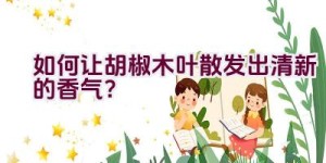 如何让胡椒木叶散发出清新的香气？