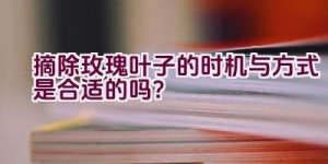 摘除玫瑰叶子的时机与方式是合适的吗？