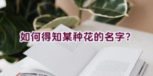 如何得知某种花的名字？