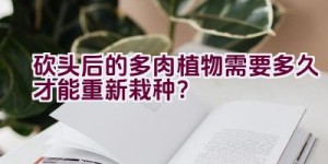 砍头后的多肉植物需要多久才能重新栽种？