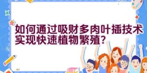 “如何通过吸财多肉叶插技术实现快速植物繁殖？”