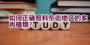 如何正确照料东北地区的多肉植物？