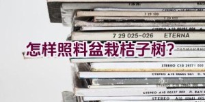 怎样照料盆栽桔子树？