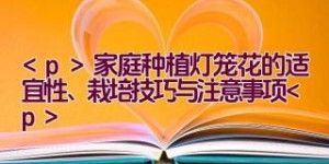 家庭种植灯笼花的适宜性、栽培技巧与注意事项