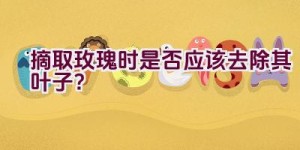 摘取玫瑰时是否应该去除其叶子？