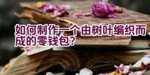 如何制作一个由树叶编织而成的零钱包？