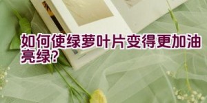 如何使绿萝叶片变得更加油亮绿？