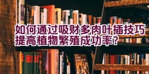 如何通过吸财多肉叶插技巧提高植物繁殖成功率？