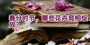 春分时节，哪些花卉竞相绽放？