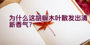 为什么这胡椒木叶散发出清新香气？