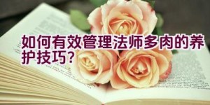 如何有效管理法师多肉的养护技巧？