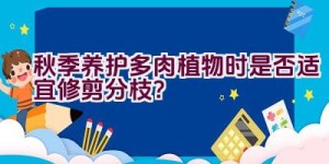 秋季养护多肉植物时是否适宜修剪分枝？