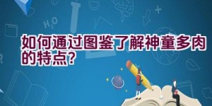 如何通过图鉴了解神童多肉的特点？