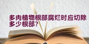 多肉植物根部腐烂时应切除多少根部？