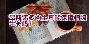 昂斯诺多肉土真能保障植物生长吗？