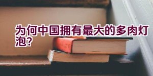 “为何中国拥有最大的多肉灯泡？”