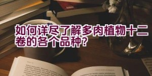 如何详尽了解多肉植物十二卷的各个品种？