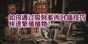 “如何通过吸财多肉叶插技巧快速繁殖植物？”