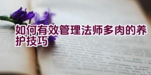 如何有效管理法师多肉的养护技巧