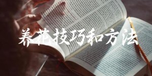 养花技巧和方法