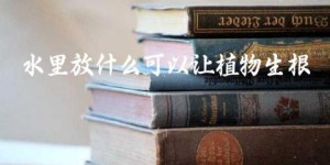 水里放什么可以让植物生根