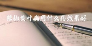 辣椒黄叶病用什么药效果好