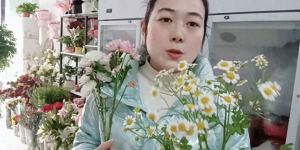 小雏菊送人有忌讳么，以后订花不要搞错了