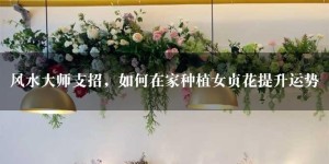 风水大师支招，如何在家种植女贞花提升运势