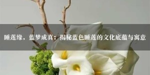 睡莲缘，蓝梦成真：揭秘蓝色睡莲的文化底蕴与寓意