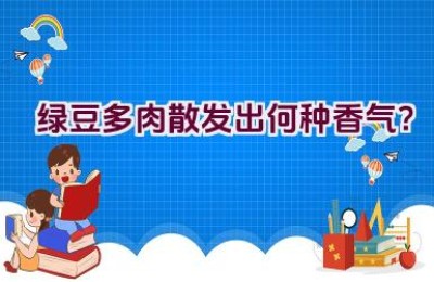 绿豆多肉散发出何种香气？