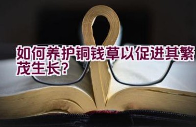 如何养护铜钱草以促进其繁茂生长？