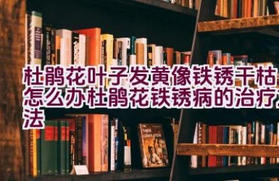 杜鹃花叶子发黄像铁锈干枯怎么办（杜鹃花铁锈病的治疗方法）