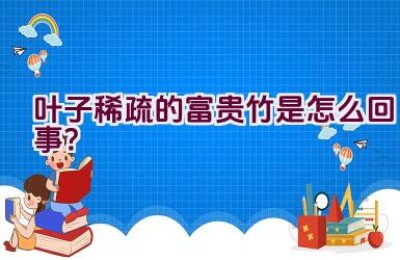 叶子稀疏的富贵竹是怎么回事？