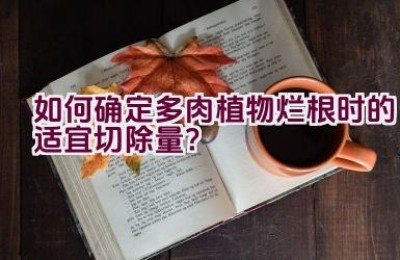 如何确定多肉植物烂根时的适宜切除量？