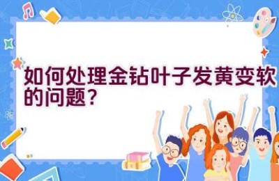 如何处理金钻叶子发黄变软的问题？