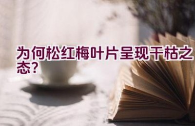 为何松红梅叶片呈现干枯之态？