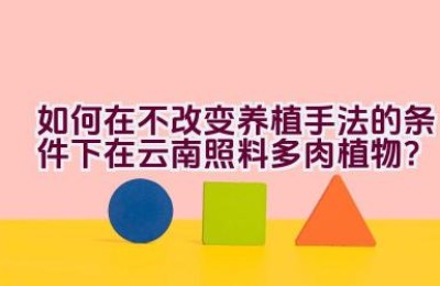 如何在不改变养植手法的条件下在云南照料多肉植物？