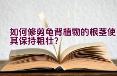 如何修剪龟背植物的根茎使其保持粗壮？