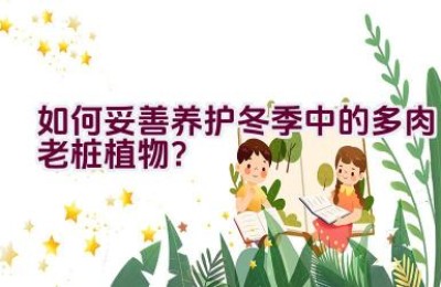 如何妥善养护冬季中的多肉老桩植物？