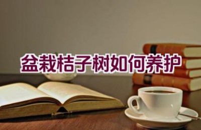 盆栽桔子树如何养护