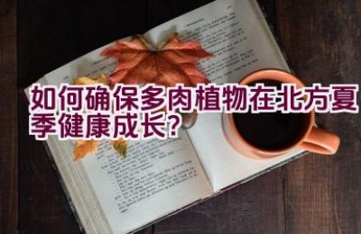 如何确保多肉植物在北方夏季健康成长？